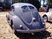 Beetle Show Rioz (31)